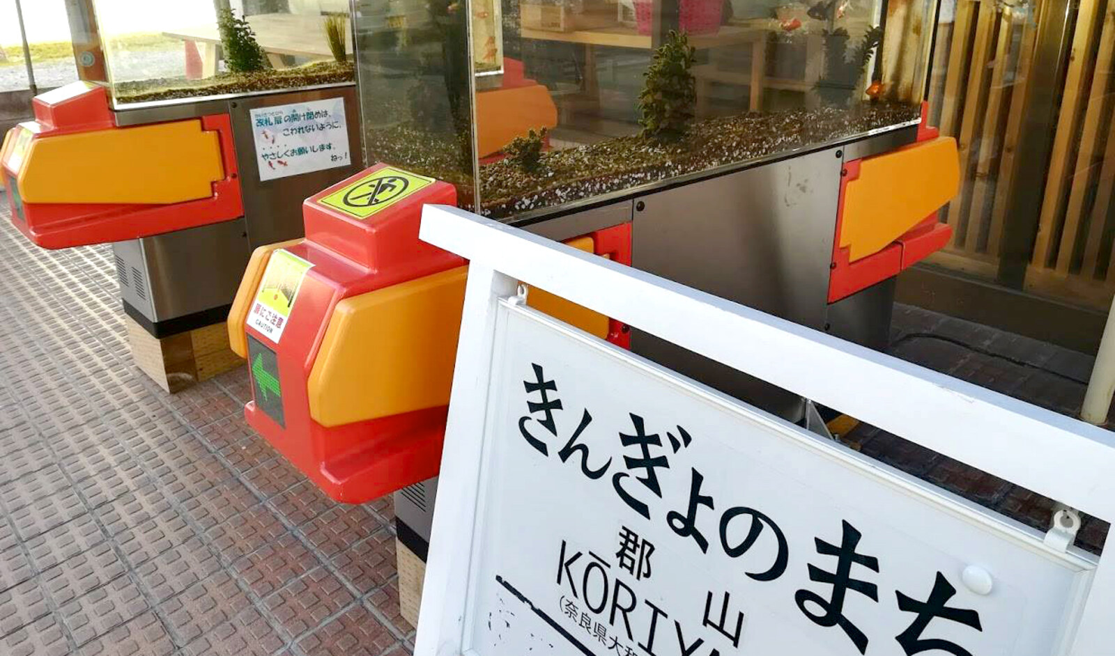 キリンビールの瓶と水槽で泳ぐ2匹の金魚