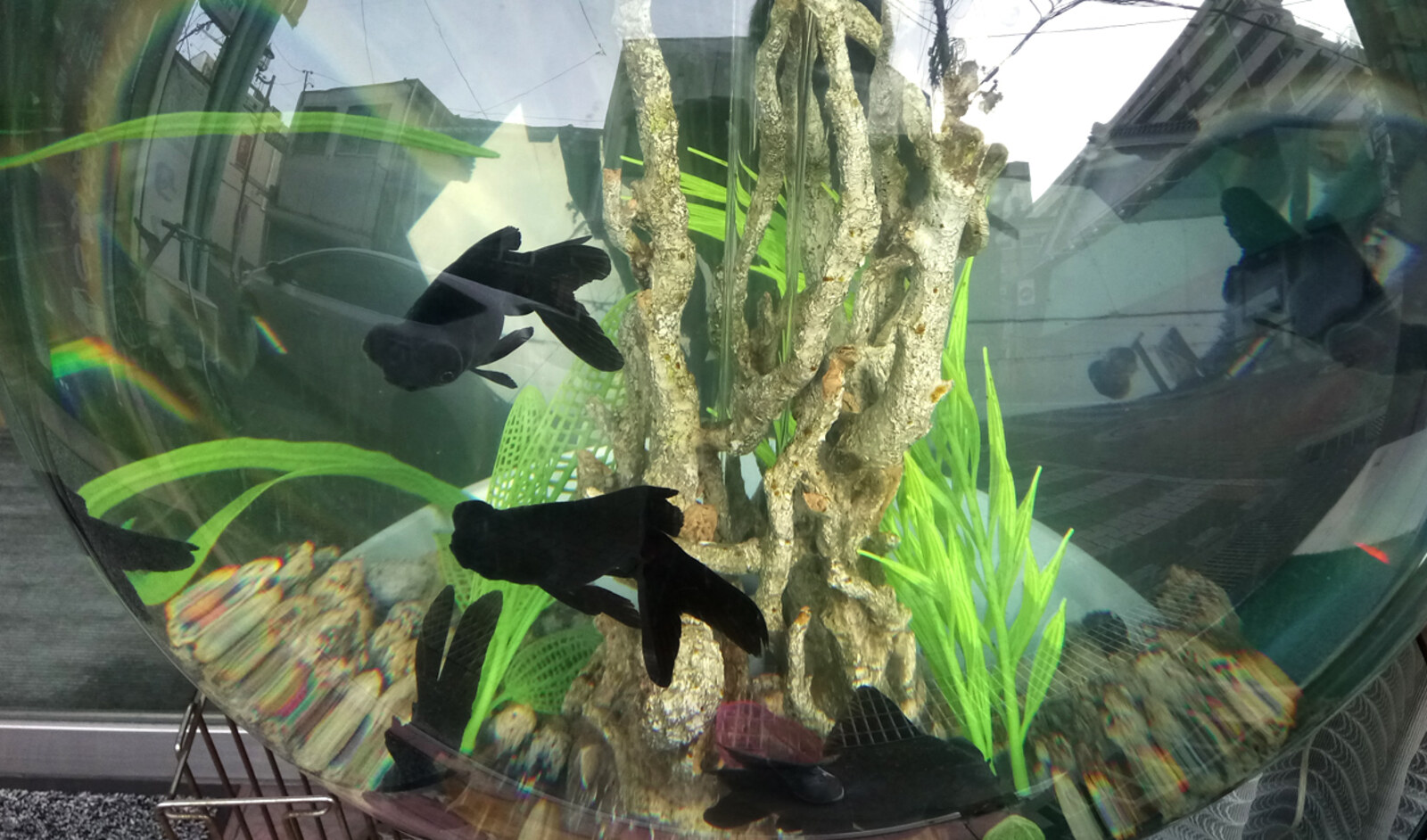 きんぎょのまち郡山の看板と金魚の改札機